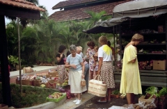 Mal0008-Ved-poolen-24