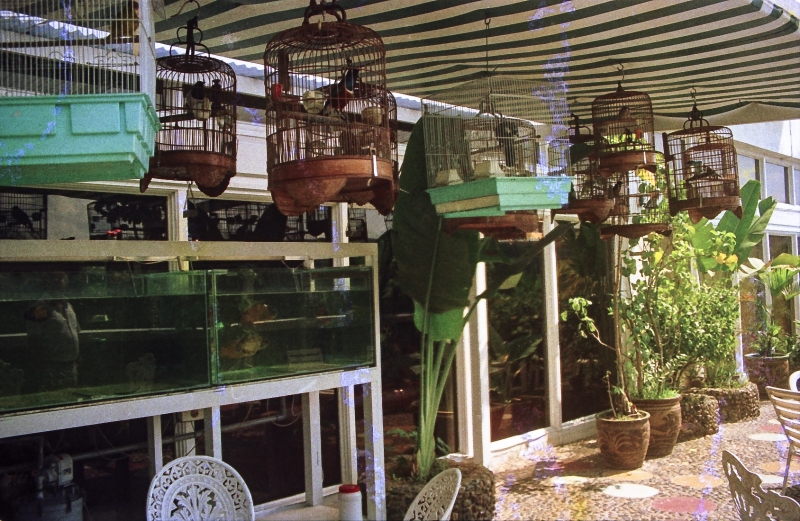 1990-30-Singapore-100