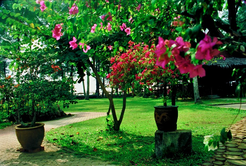1991-23-Cherating-Villa-104