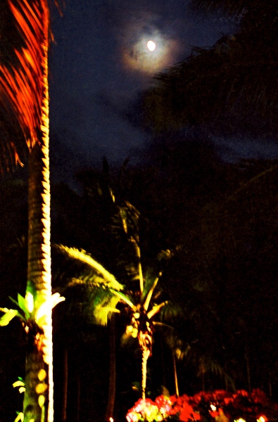 1991-23-Cherating-Villa-106