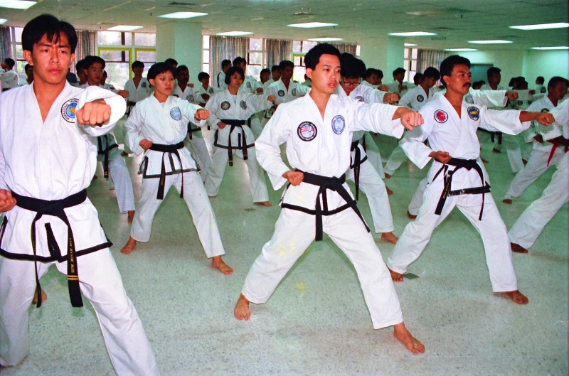1991-37-Taekwondo-101