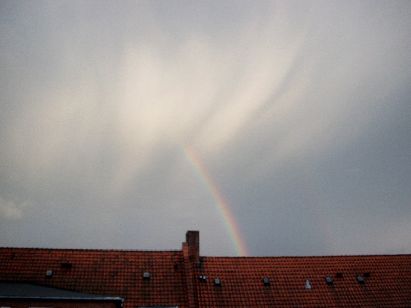 Medion   DIGITAL CAMERA