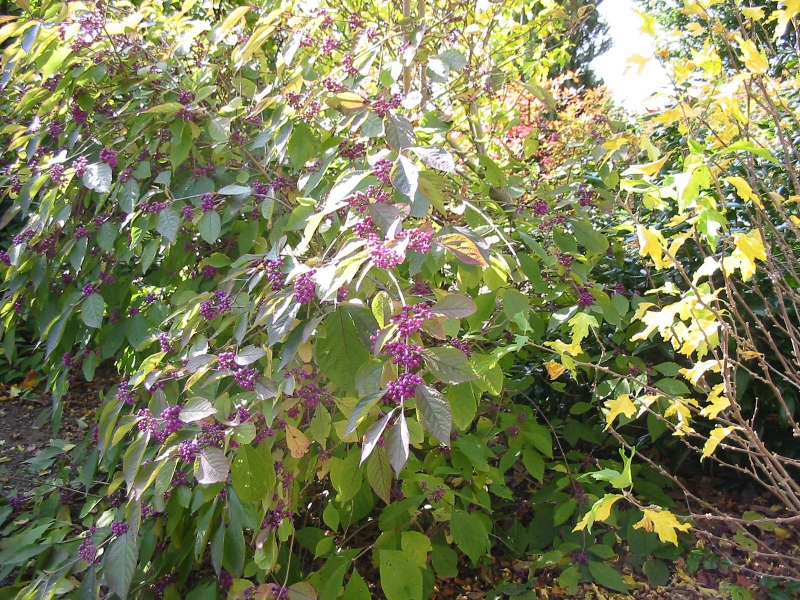 2007-Falster-og-Møn-102