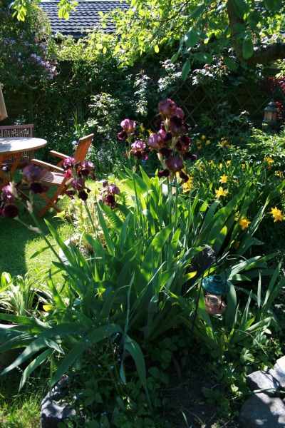 2009-Kamstrupvej-101