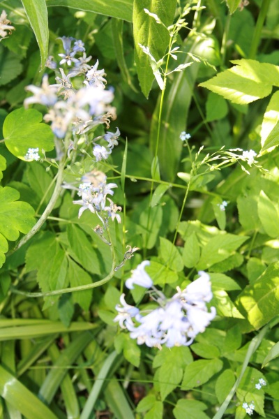 2009-Kamstrupvej-105