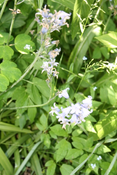 2009-Kamstrupvej-106