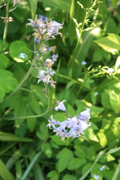 2009-Kamstrupvej-107