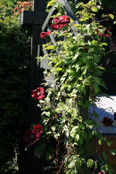 2009-Kamstrupvej-110