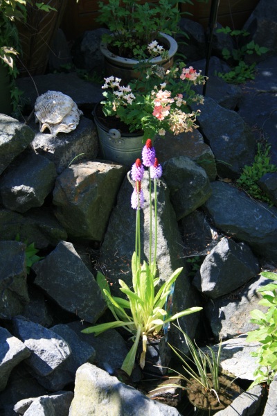 2009-Kamstrupvej-111