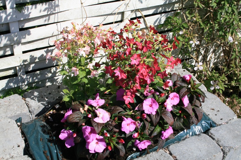 2009-Kamstrupvej-114