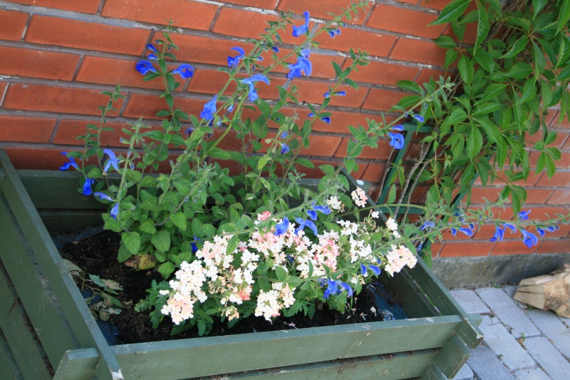 2009-Kamstrupvej-117