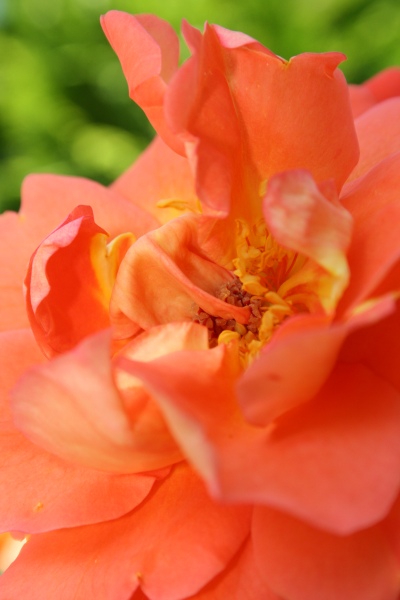 2009-Kamstrupvej-130