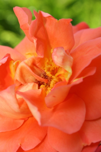 2009-Kamstrupvej-131