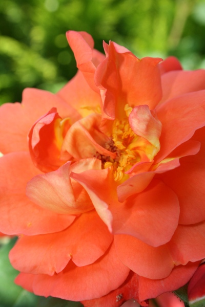 2009-Kamstrupvej-132