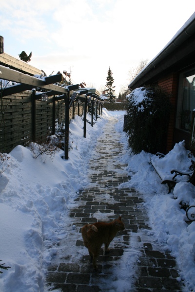 2010-Kamstrupvej-100