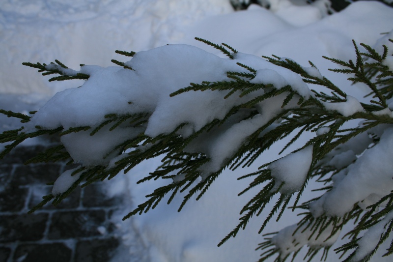 2010-Kamstrupvej-101