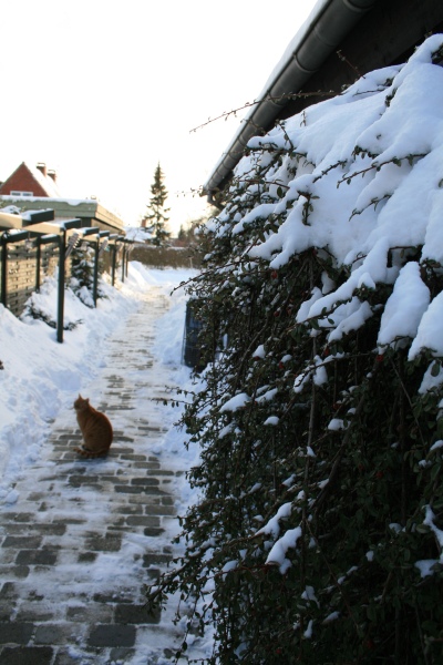 2010-Kamstrupvej-103