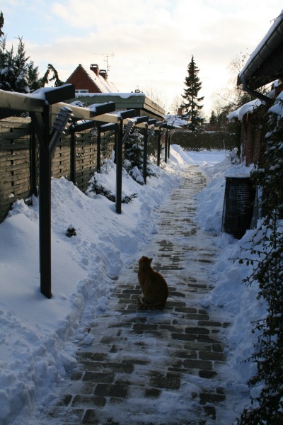 2010-Kamstrupvej-104