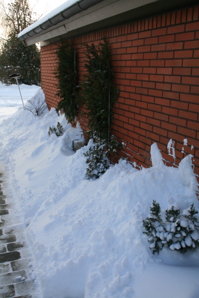 2010-Kamstrupvej-107