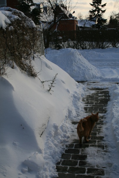 2010-Kamstrupvej-109