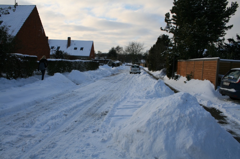 2010-Kamstrupvej-112