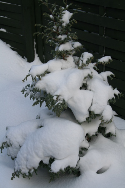 2010-Kamstrupvej-119