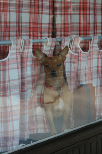 2010-Kamstrupvej-120