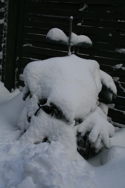 2010-Kamstrupvej-122