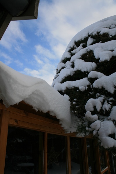 2010-Kamstrupvej-127