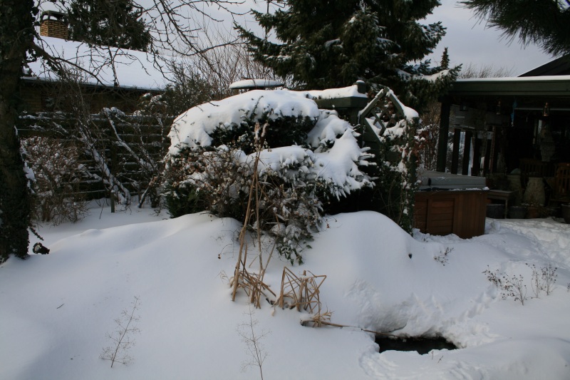 2010-Kamstrupvej-129