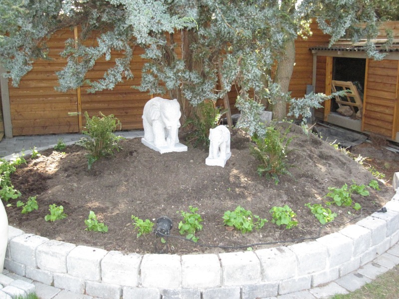 2011-Billeder-fra-hjemmet-1-100