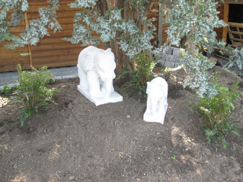 2011-Billeder-fra-hjemmet-1-101