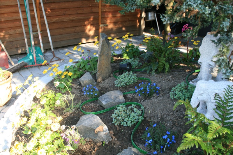 2011-Billeder-fra-hjemmet-1-110