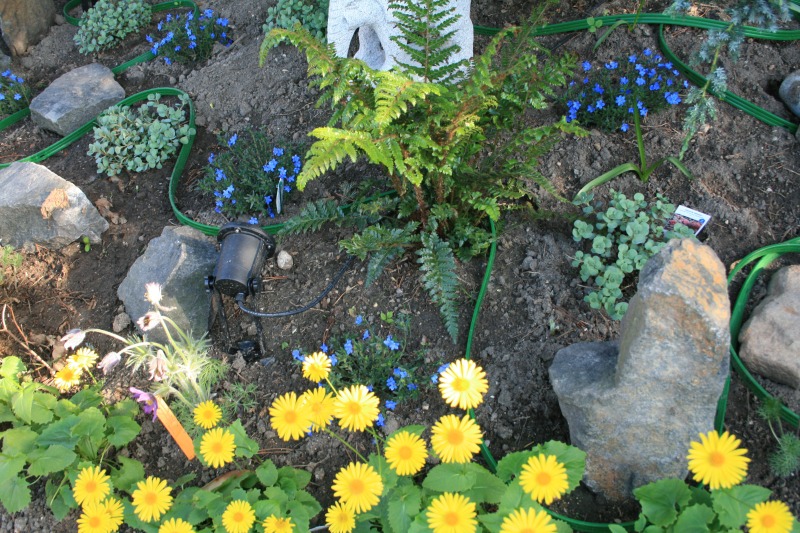 2011-Billeder-fra-hjemmet-1-111