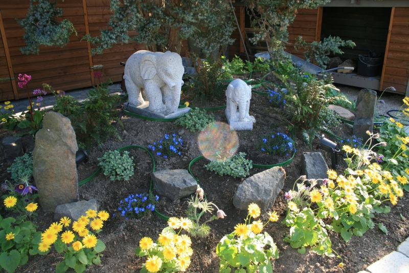 2011-Billeder-fra-hjemmet-1-112