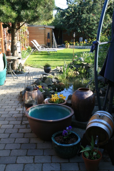 2011-Billeder-fra-hjemmet-1-122