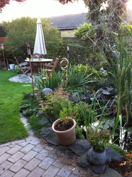 2011-Billeder-fra-hjemmet-2-100