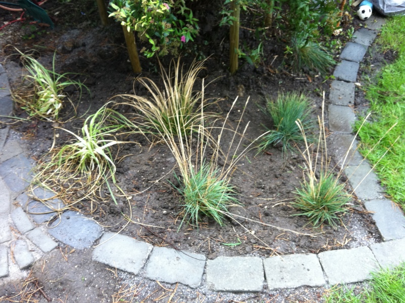 2011-Billeder-fra-hjemmet-2-112