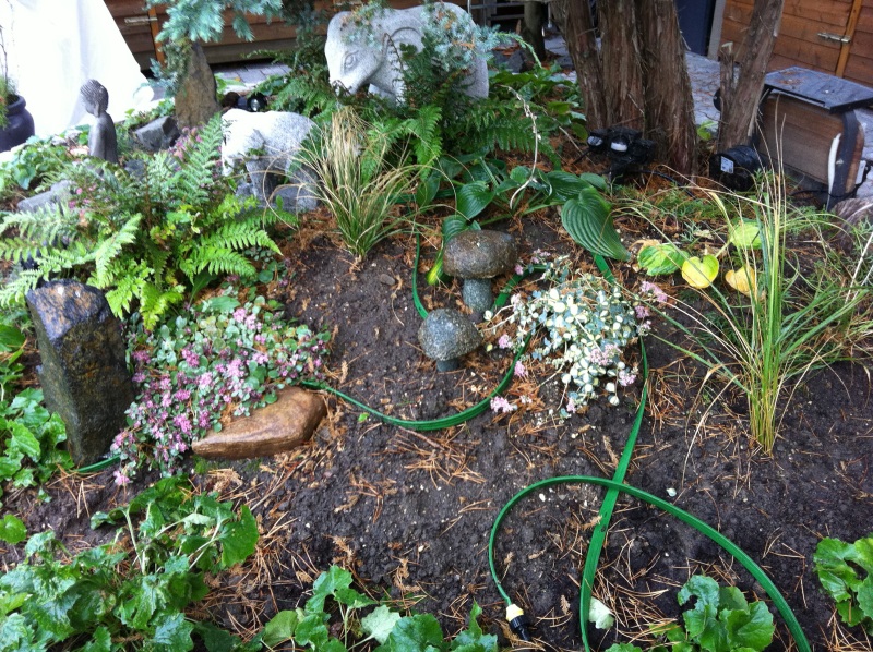 2011-Billeder-fra-hjemmet-2-114