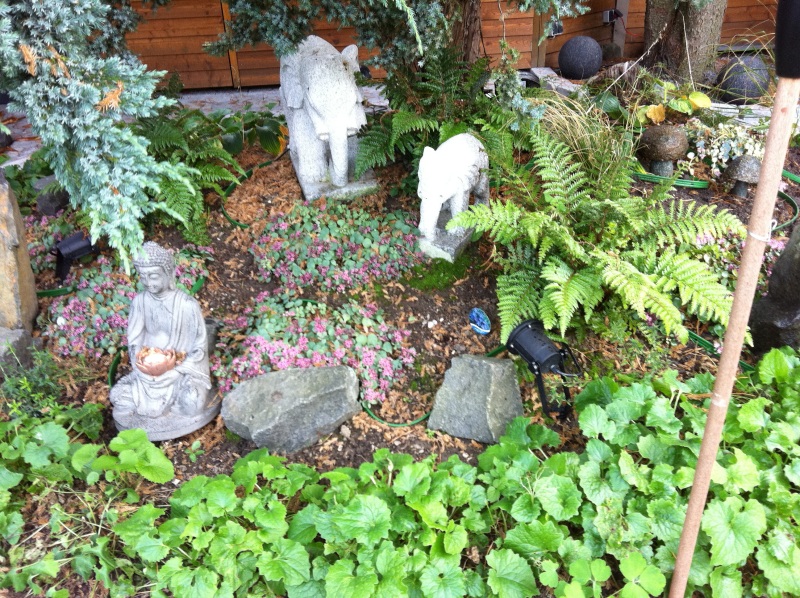 2011-Billeder-fra-hjemmet-2-115