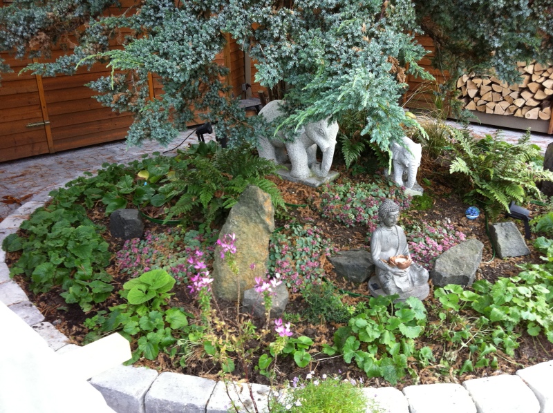 2011-Billeder-fra-hjemmet-2-116