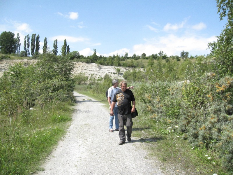 2011-Karlstrup-kalkgrav-100