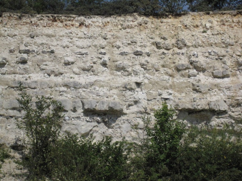 2011-Karlstrup-kalkgrav-101