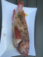2015-Grillet-fisk-100
