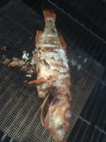 2015-Grillet-fisk-101