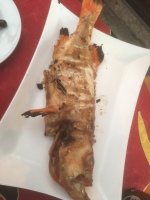 2015-Grillet-fisk-103