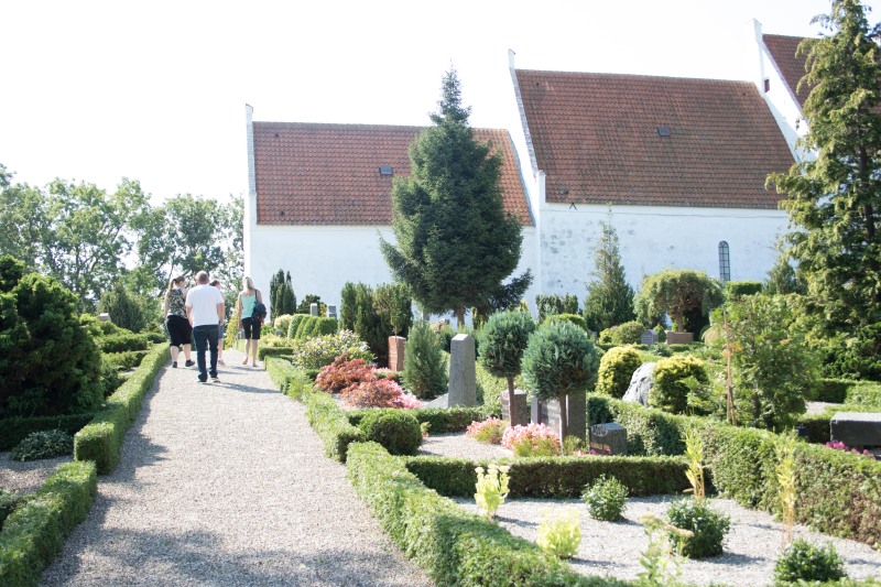 2015-Møns-klint-105