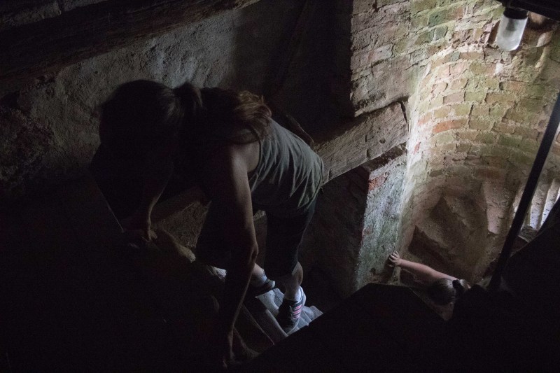 2015-Møns-klint-117