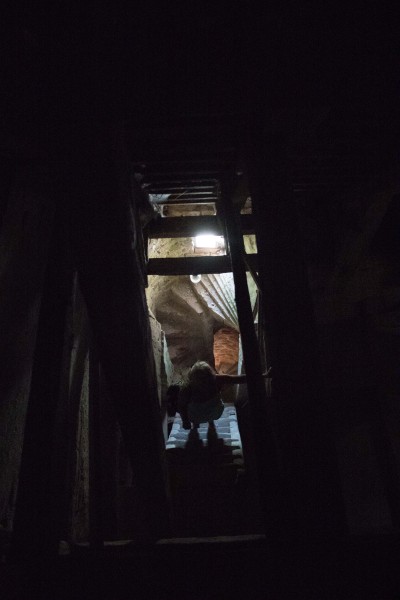 2015-Møns-klint-121