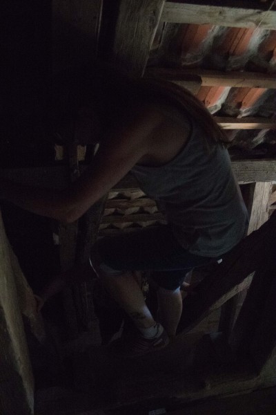 2015-Møns-klint-123